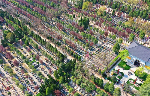 西安慈恩園墓園被拆了嗎