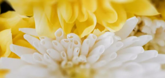 西安霸陵墓園新區(qū)位于哪里，其地理環(huán)境有何特色？