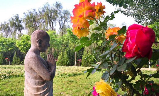 西安灞橋區(qū)公墓地址_西安灞橋附近墓地價格多少錢