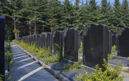 西安海葬費(fèi)用活動具體流程 -公墓大全