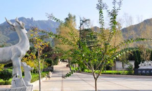 鳳棲山北區(qū)可以祭奠嗎