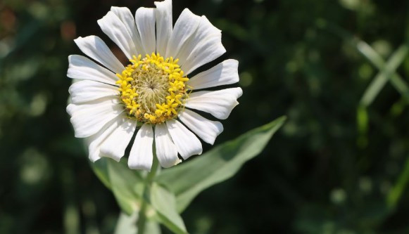 西安高橋墓園雙墓價格