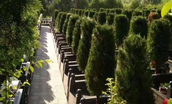 西安霸陵墓園電話-價(jià)格-地址