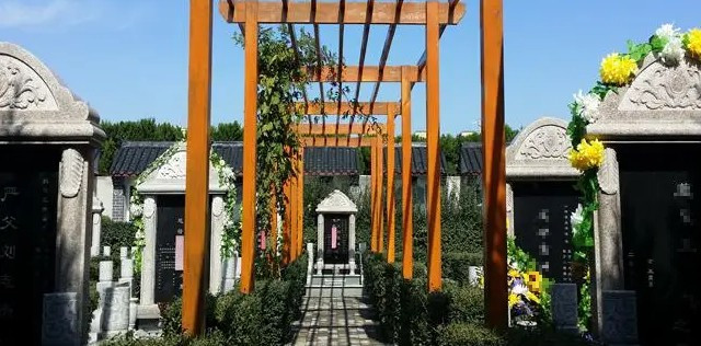 西安東郊鯨魚溝墓地怎么樣