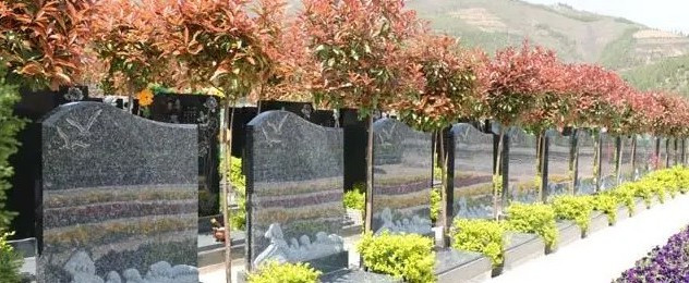 西安市高陵區(qū)公墓價(jià)格與服務(wù)對(duì)比