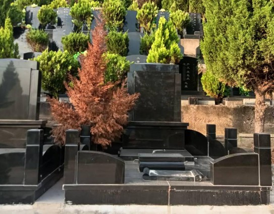西安高橋墓園園區(qū)電話