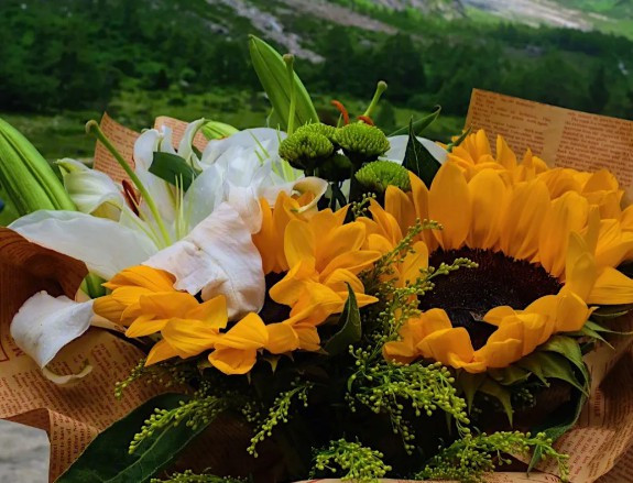 西安墓地鳳棲山，西安鳳棲山墓園的詳細(xì)信息與特色