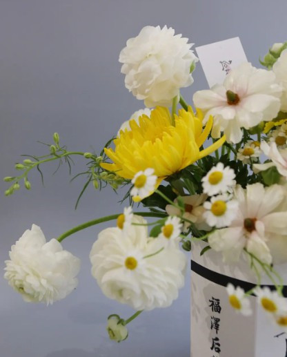 西安墓園樹葬-西安樹葬:新時(shí)代環(huán)保葬法的典范