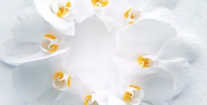 西安壽陽山墓園打造節(jié)地生態(tài)安葬