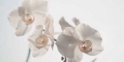 西安高橋墓園在什么地方 電話 價(jià)格