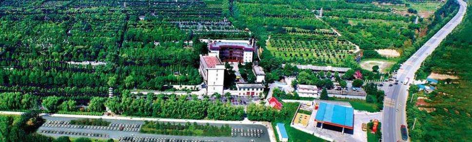 西安九龍山陵園墓地址