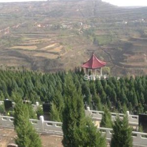 西安高橋墓園怎么走,高橋墓園路線坐幾路車(chē)