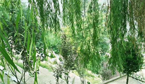 西安高橋壽陽(yáng)山霸陵新區(qū)墓園