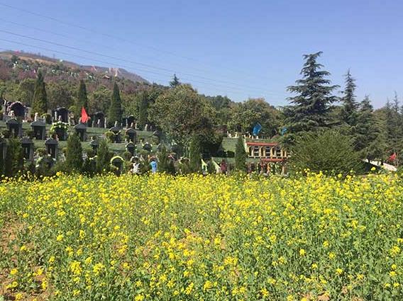 西安市灞橋區(qū)灞陵路毛東村漢陵墓園.萬起