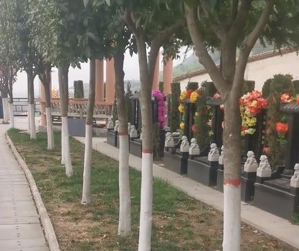 西安霸陵新區(qū)寶玉園，視野開闊，綠樹成蔭！