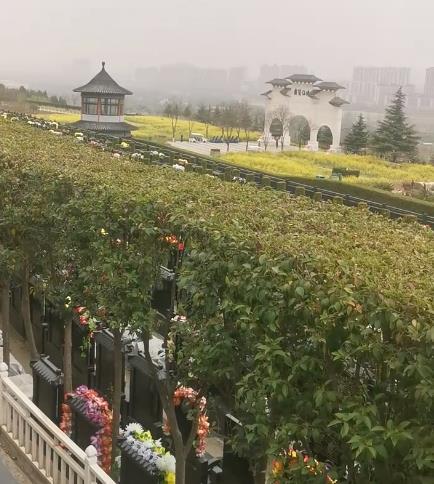 西安霸陵新區(qū)寶玉園，視野開闊，綠樹成蔭！