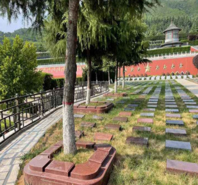 西安霸陵墓園-樹葬起