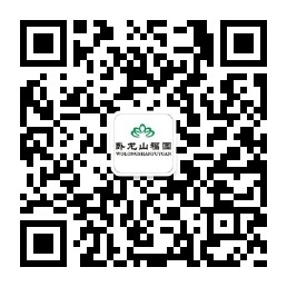 臥龍山福園公眾號(hào)-預(yù)約、祭奠、代客祭掃